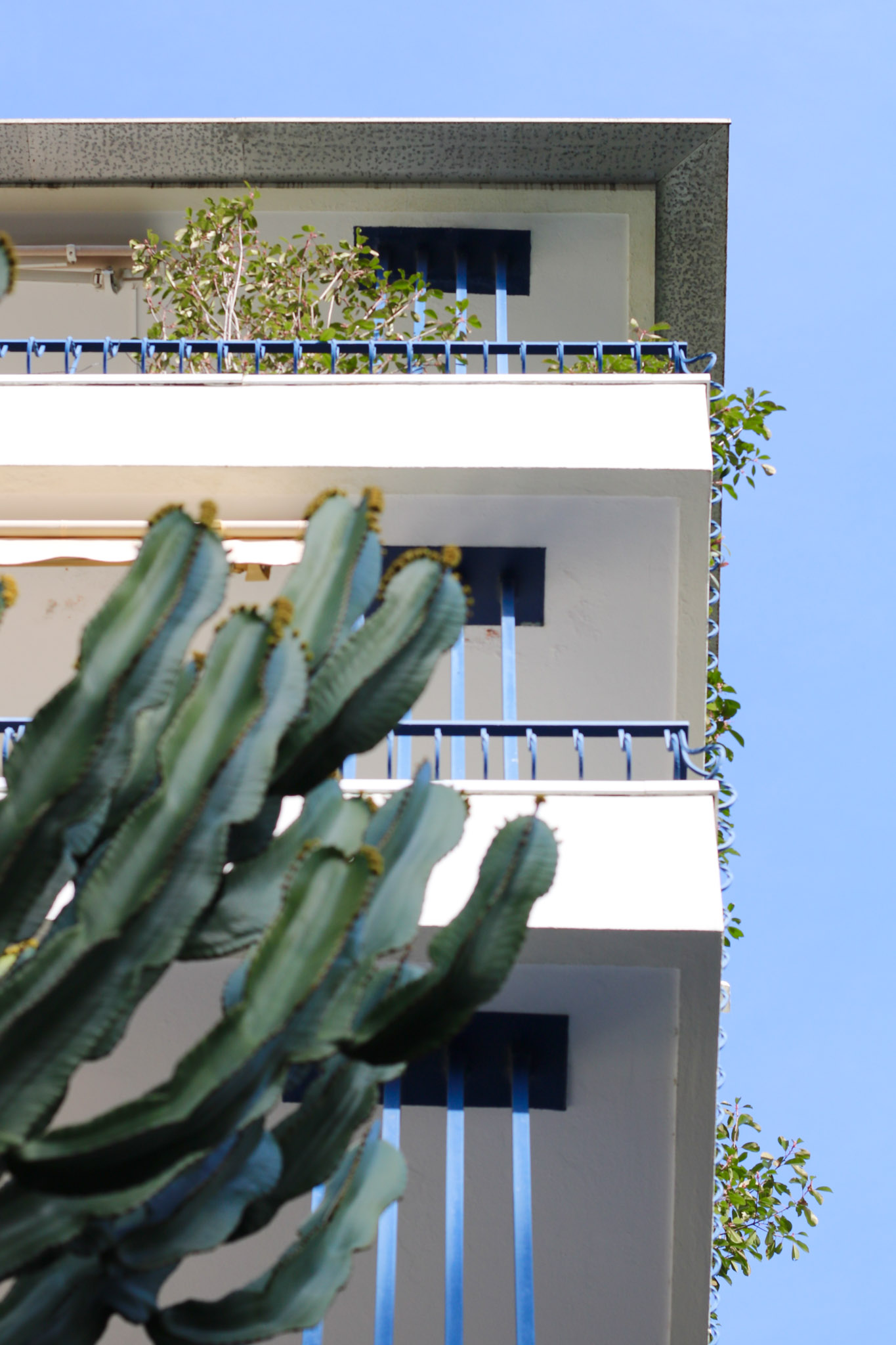 Brykli investit à vos côté en tant que marchand de biens